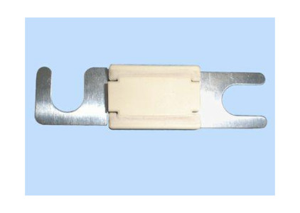 ANL zekering 80A