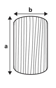 Handrelingprofiel 2mtr