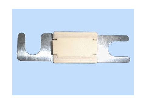 ANL zekering 100A