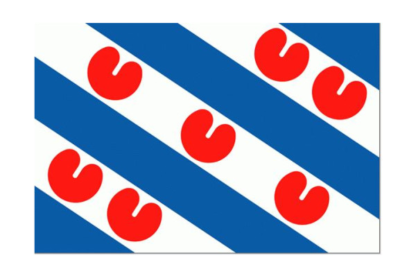 FRIESE VLAG 20X30
